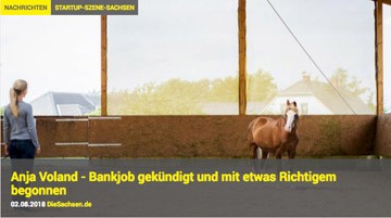 Screenshot DieSachsen.de