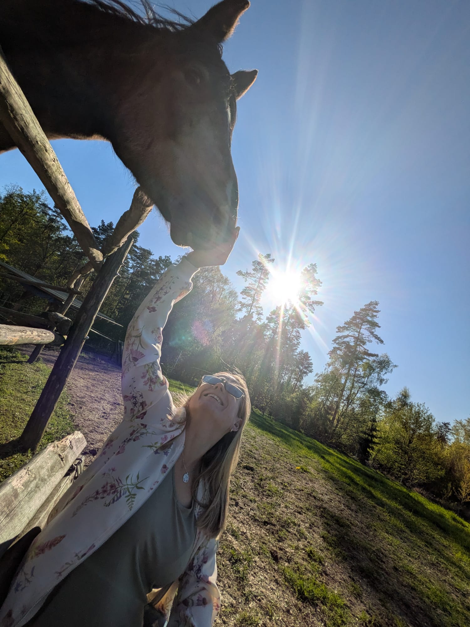 Beziehung Reiter - Pferd